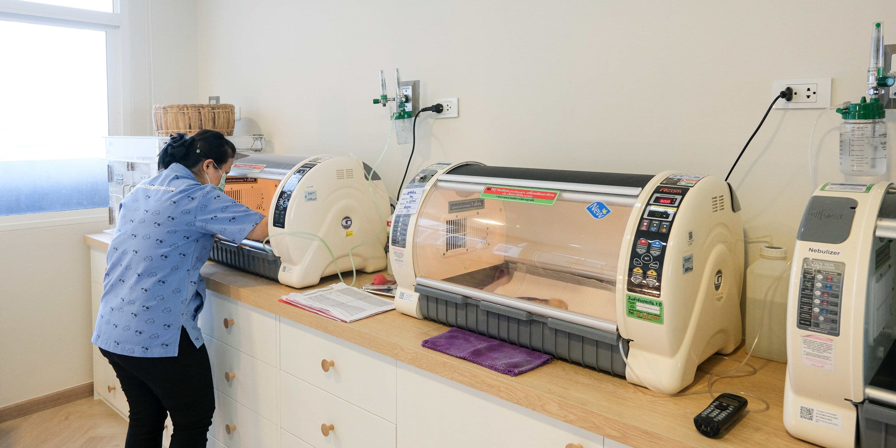 โรงพยาบาลสัตว์ทองหล่อ รับฝากสัตว์เลี้ยง Exotic และสัตว์ป่วย สัตว์แรกเกิด